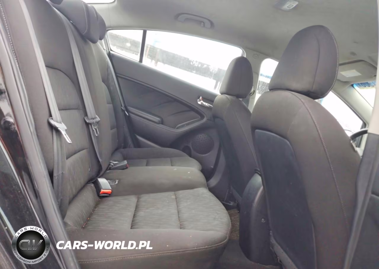 2014 Kia Forte Lx VIN:KNAFK4A60E5130589 - 10