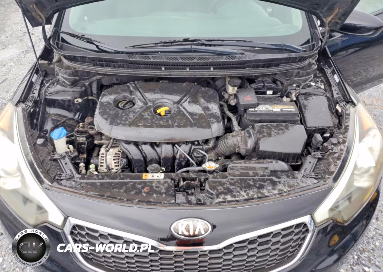 2014 Kia Forte Lx VIN:KNAFK4A60E5130589 - 11