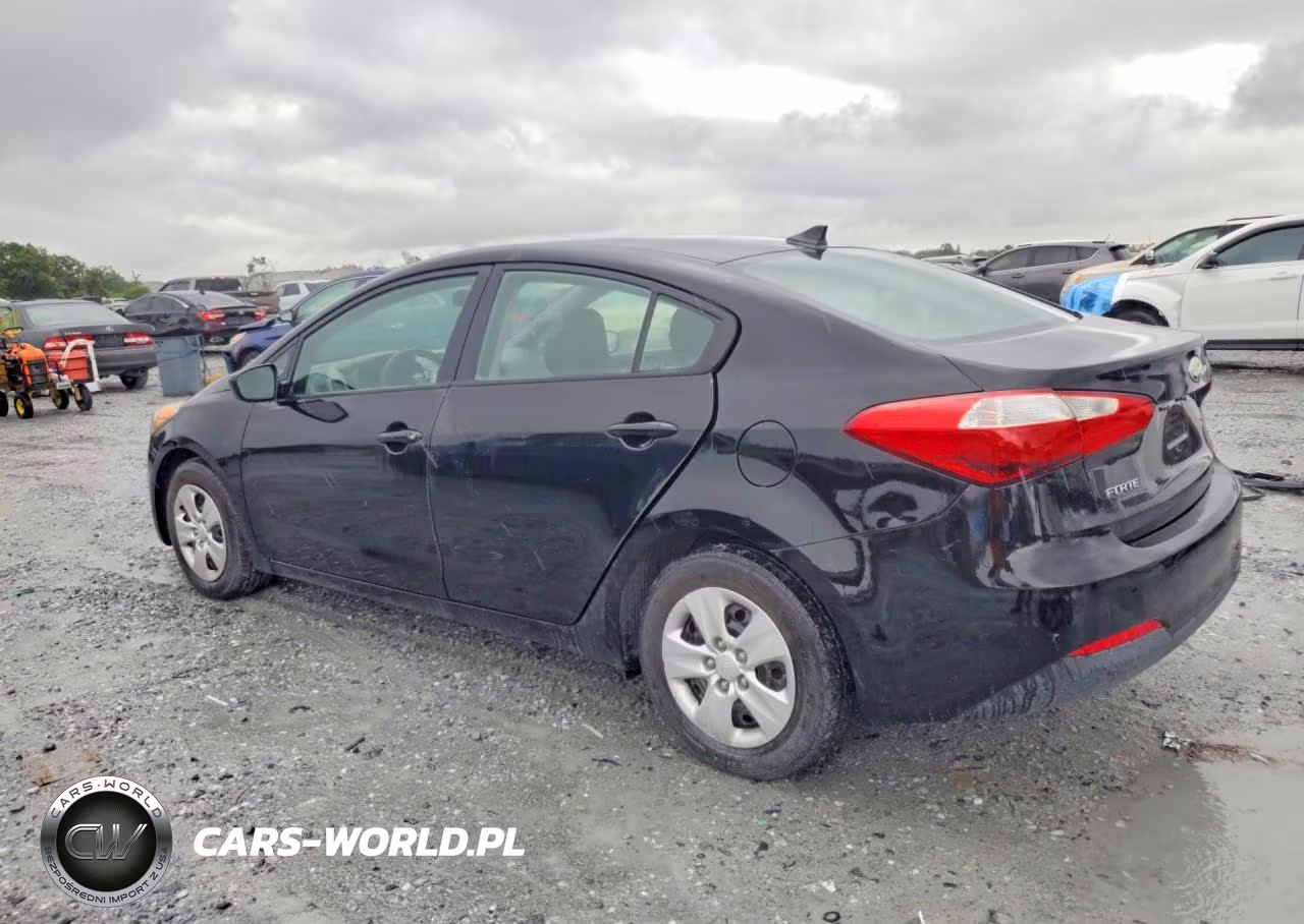 2014 Kia Forte Lx VIN:KNAFK4A60E5130589 - 2