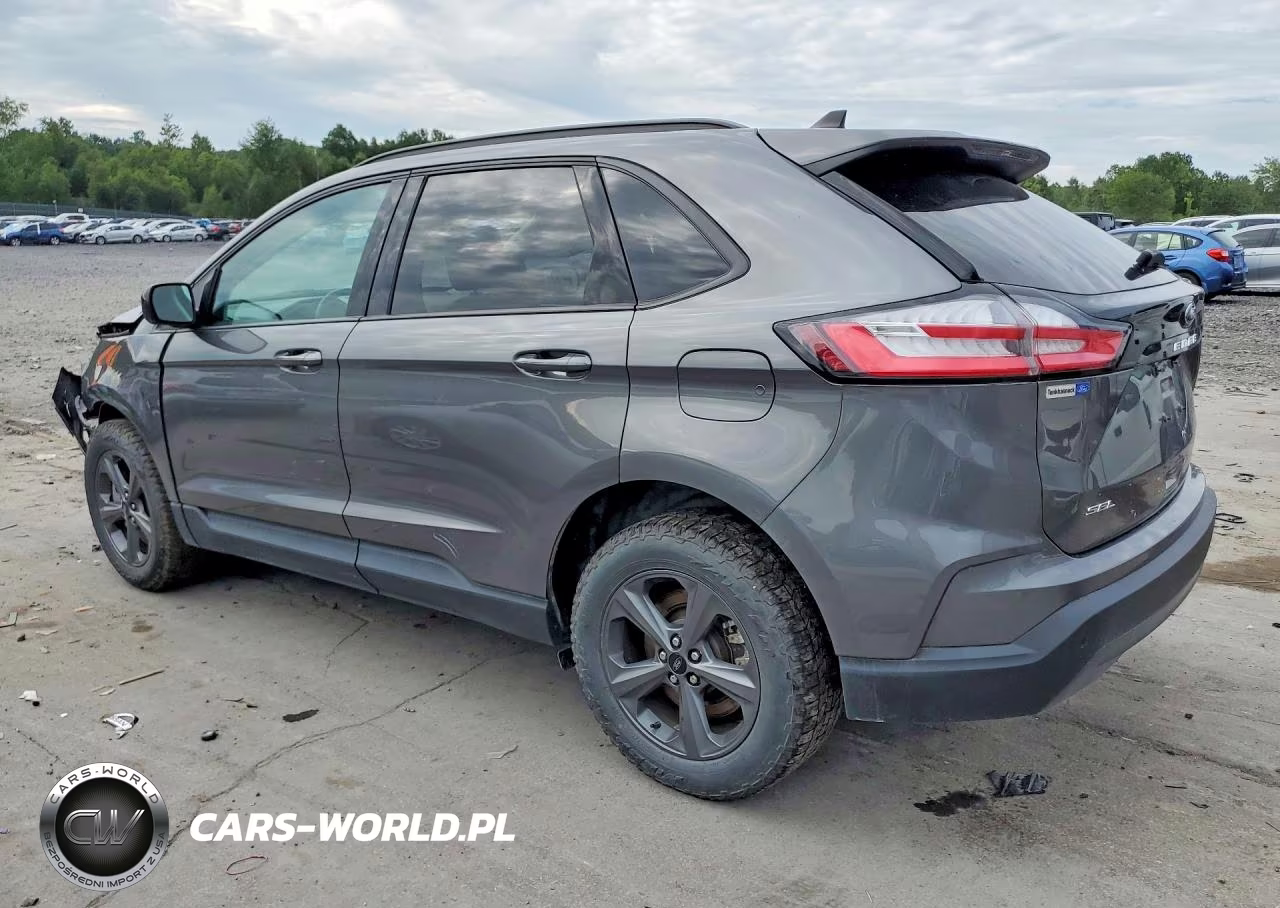 2024 Ford Edge Sel VIN:2FMPK4J91RBA32671 - 2
