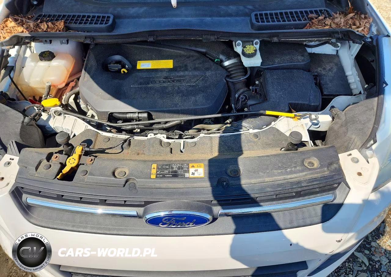2016 Ford Escape Se VIN:1FMCU9GX6GUC18001 - 12