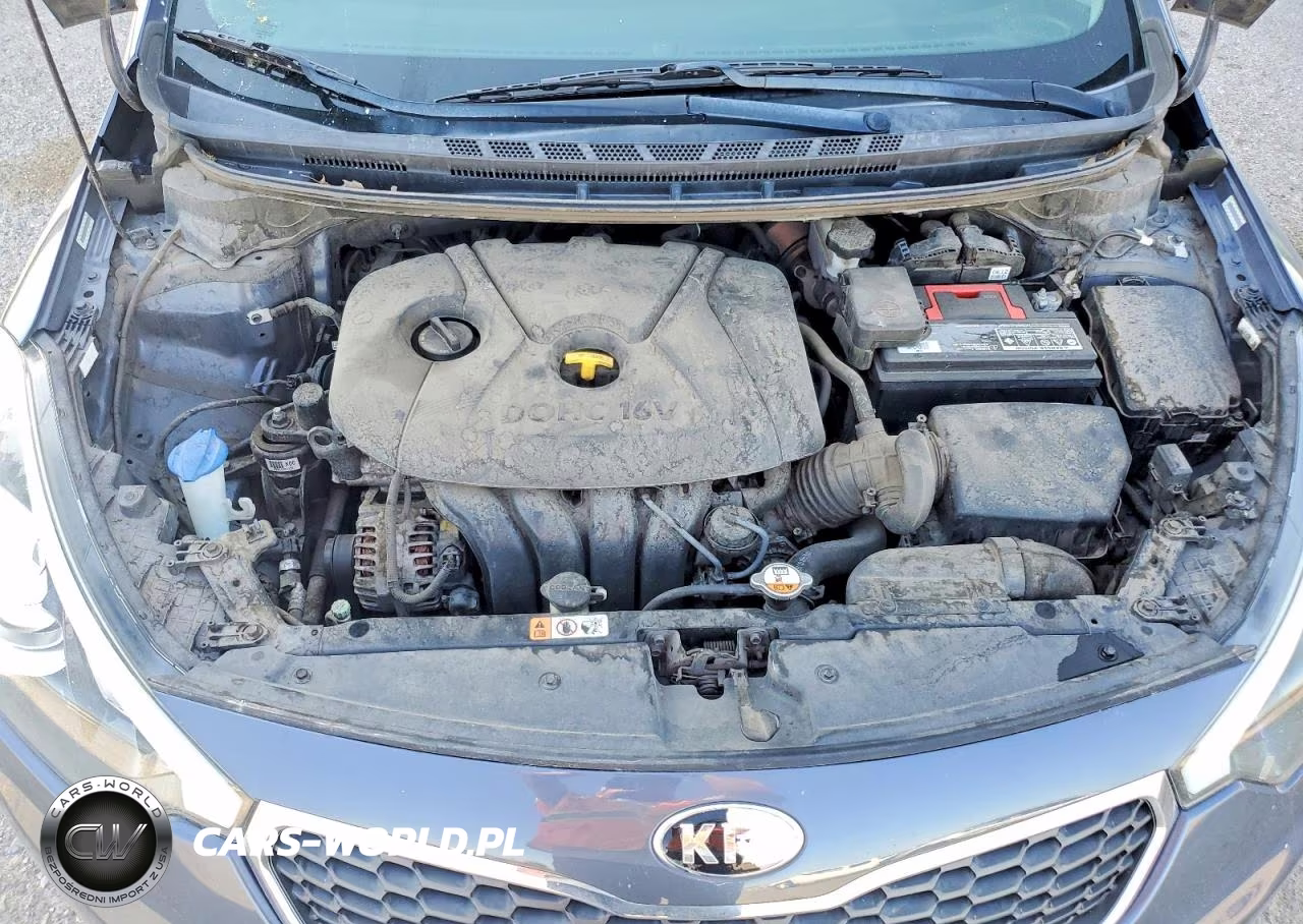 2014 Kia Forte Lx VIN:KNAFX4A63E5223169 - 11