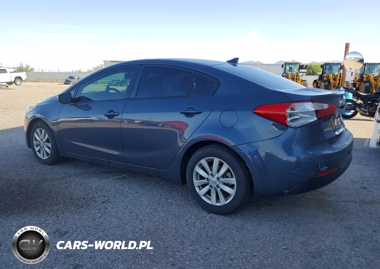 2014 Kia Forte Lx VIN:KNAFX4A63E5223169 - 2