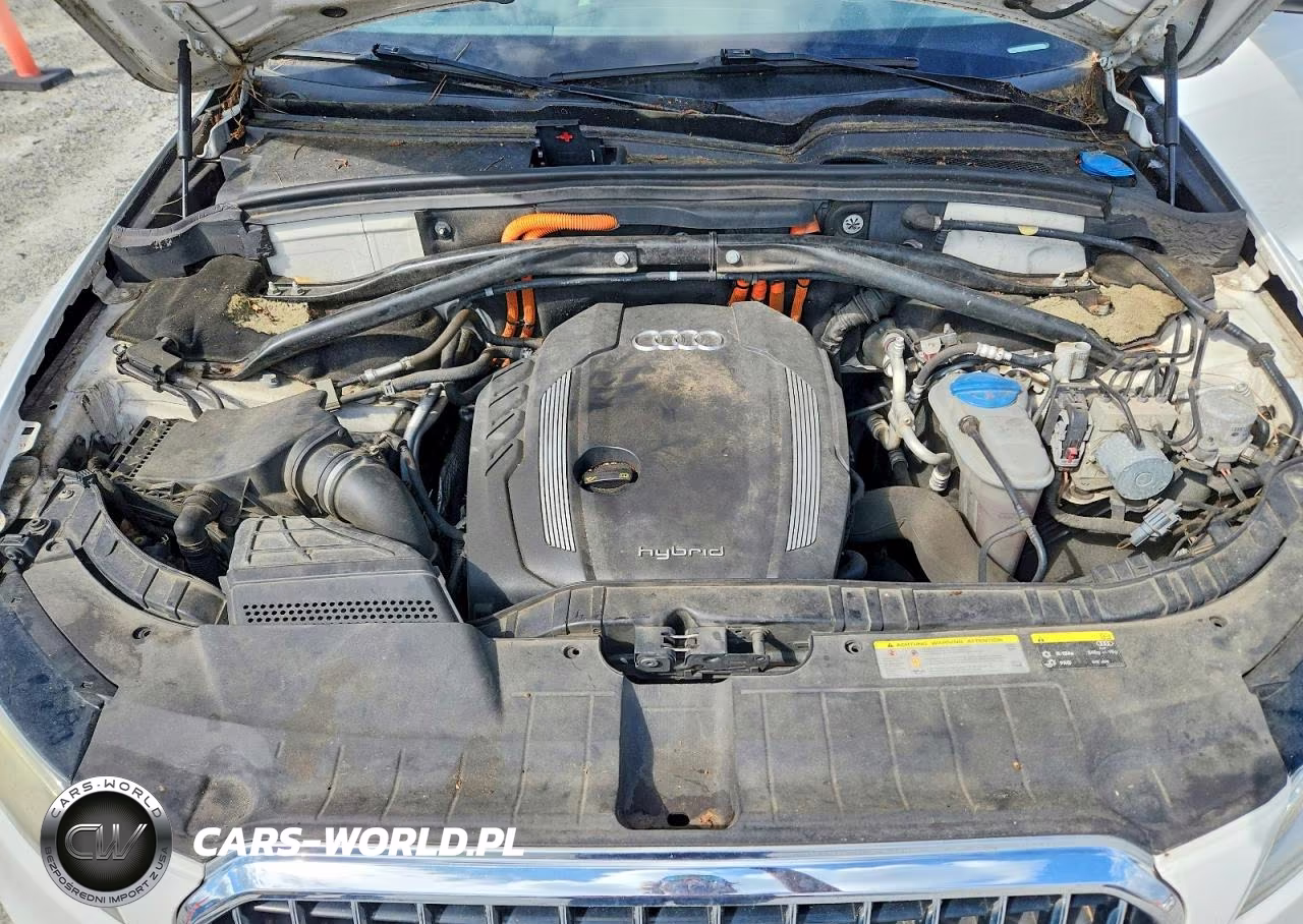 2013 Audi Q5 Premium Hybrid VIN:WA1C8AFP4DA002439 - 12