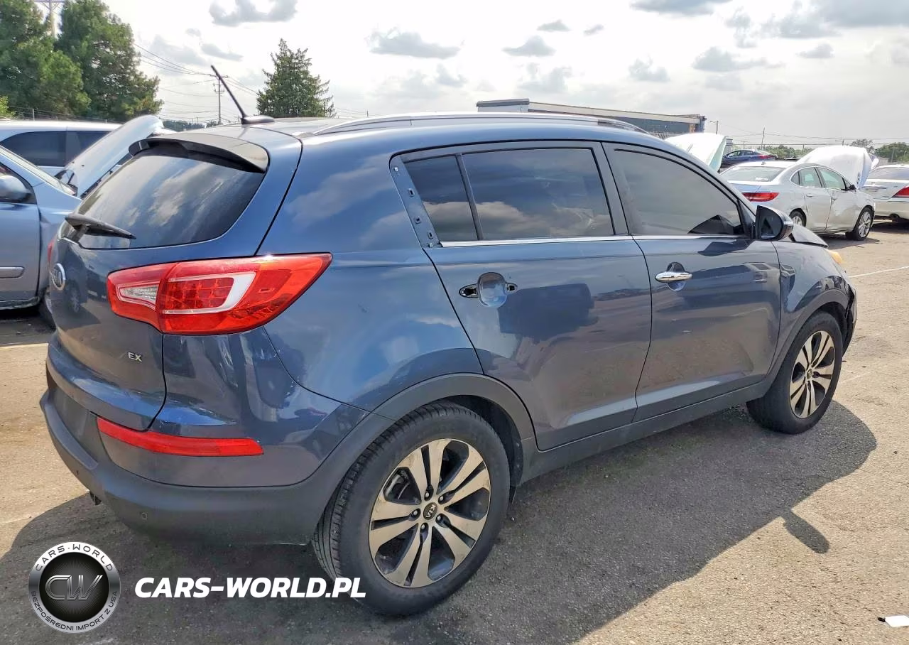 2011 Kia Sportage Ex VIN:KNDPC3A22B7060976 - 3