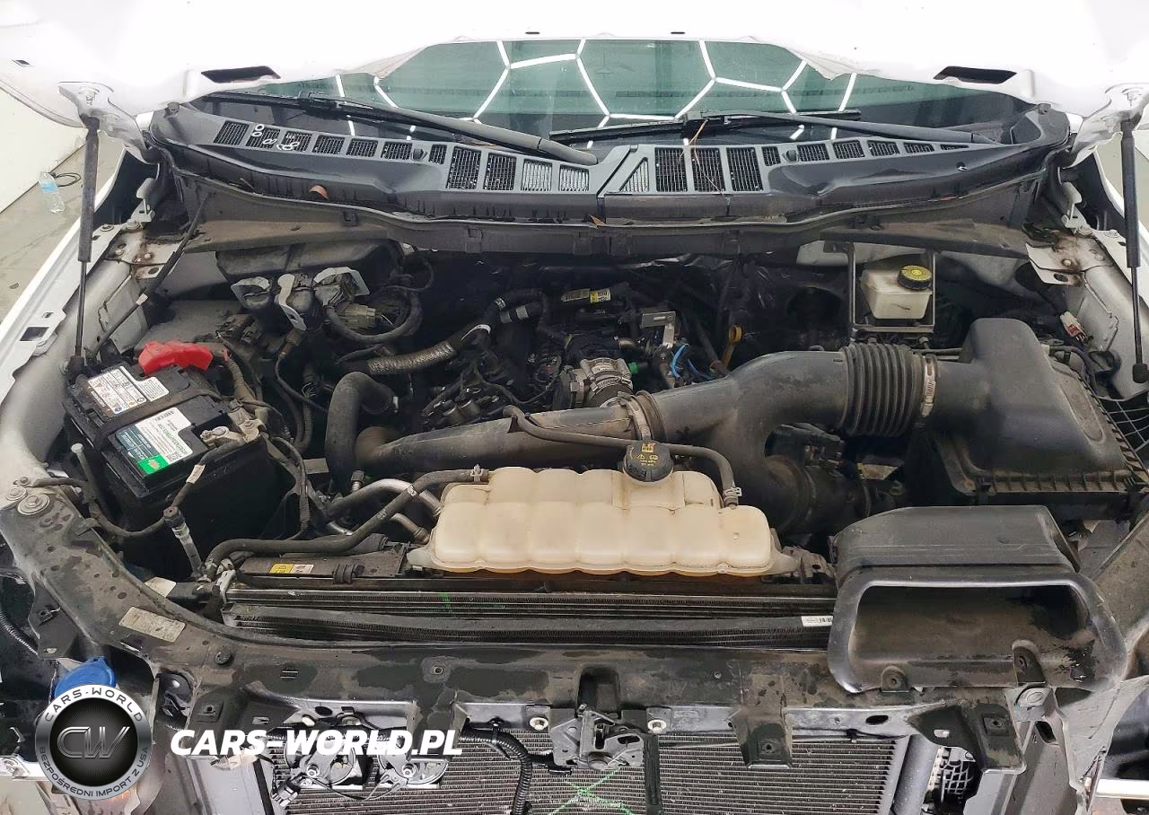 2021 Ford F150 Super Cab VIN:1FTEX1CP6MKE76800 - 11
