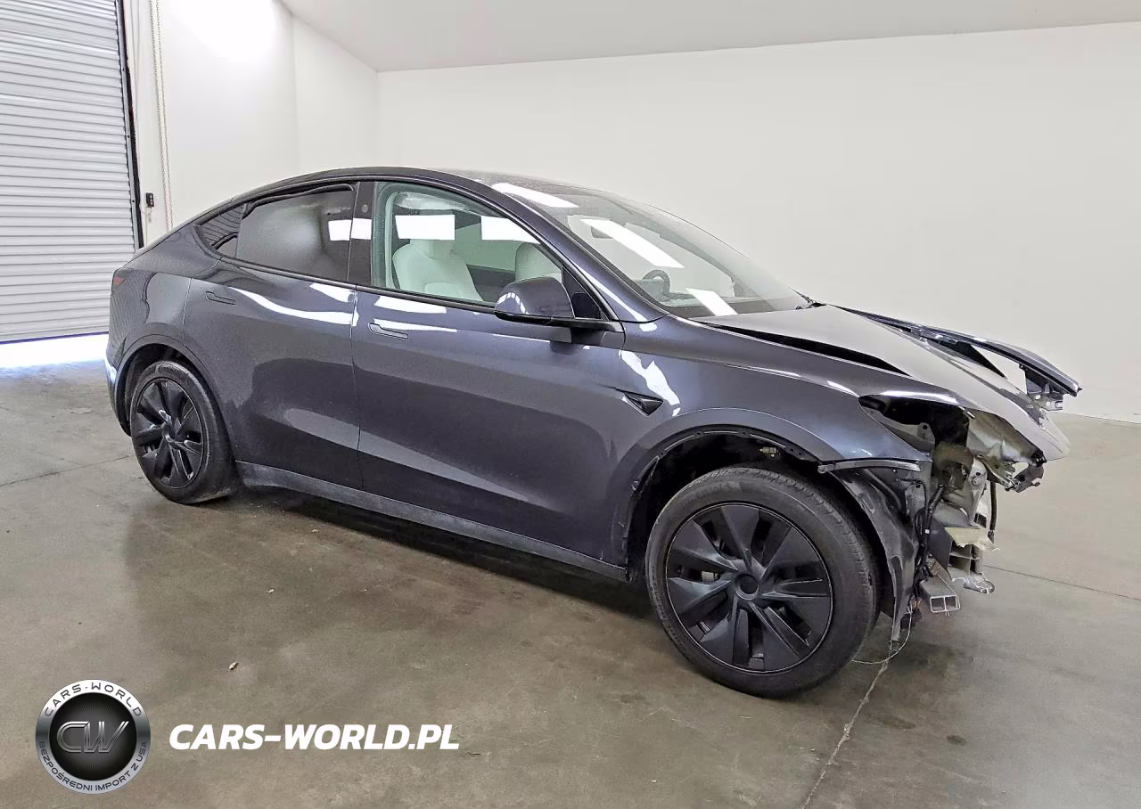 2025 Tesla Model Y VIN:7SAYGDED6SF237231 - 4
