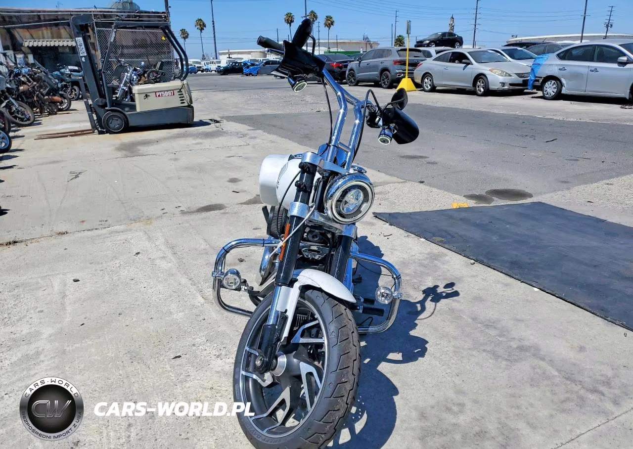 2021 Harley-Davidson Flsb VIN:1HD1YMJ29MB030191 - 2