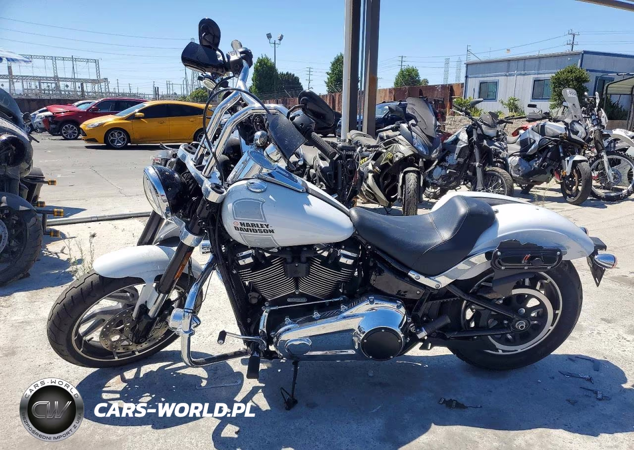2021 Harley-Davidson Flsb VIN:1HD1YMJ29MB030191 - 3
