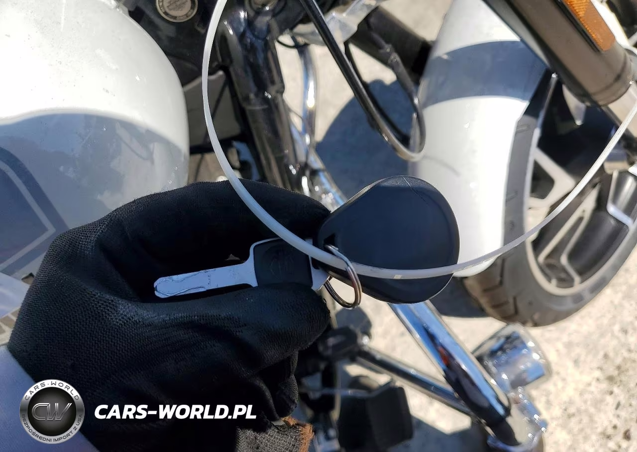 2021 Harley-Davidson Flsb VIN:1HD1YMJ29MB030191 - 8