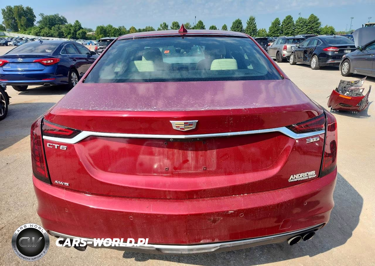 2019 Cadillac Ct6 Premium Luxury VIN:1G6KD5RS2KU134196 - 6