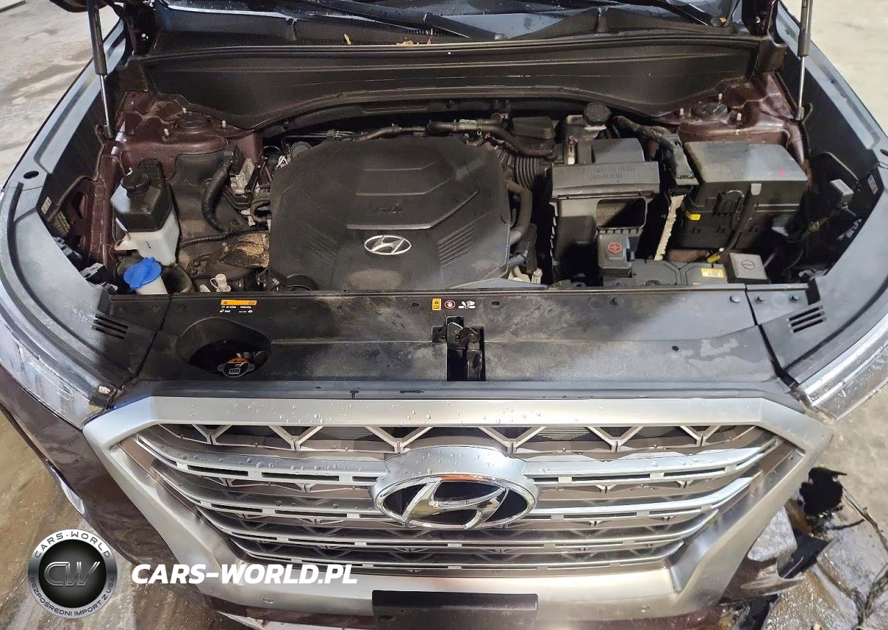 2020 Hyundai Palisade VIN:KM8R5DHE9LU160841 - 12