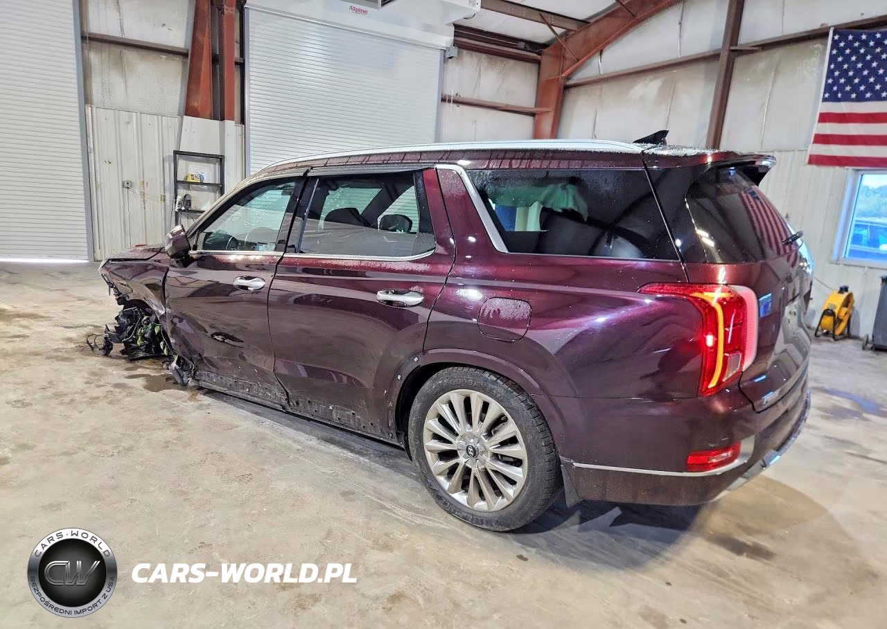 2020 Hyundai Palisade VIN:KM8R5DHE9LU160841 - 2