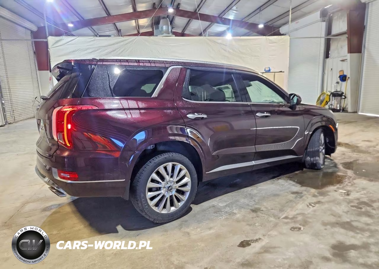 2020 Hyundai Palisade VIN:KM8R5DHE9LU160841 - 3
