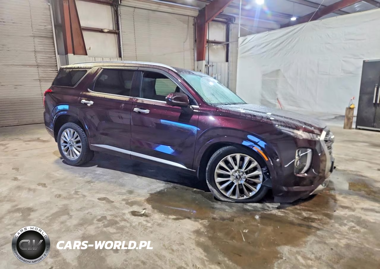 2020 Hyundai Palisade VIN:KM8R5DHE9LU160841 - 4