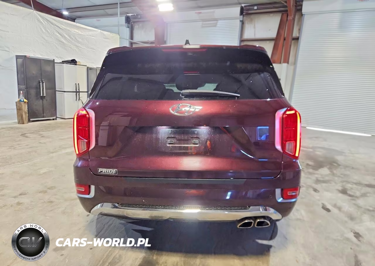 2020 Hyundai Palisade VIN:KM8R5DHE9LU160841 - 6