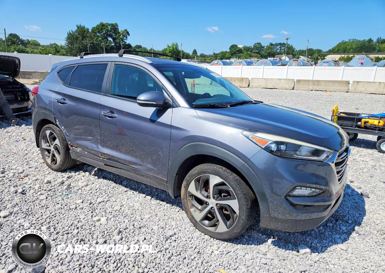 2016 Hyundai Tucson Limited VIN:KM8J3CA2XGU251698 - 4