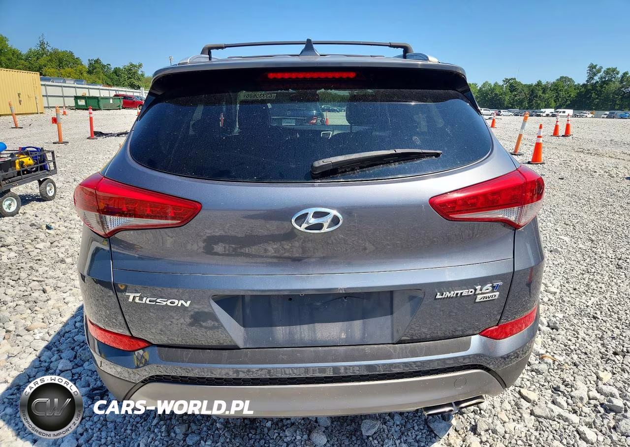 2016 Hyundai Tucson Limited VIN:KM8J3CA2XGU251698 - 6