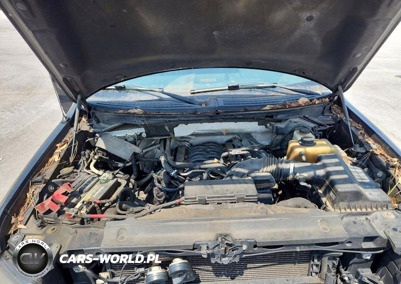 2012 Ford F150 Supercrew VIN:1FTFW1EF2CFA74324 - 11