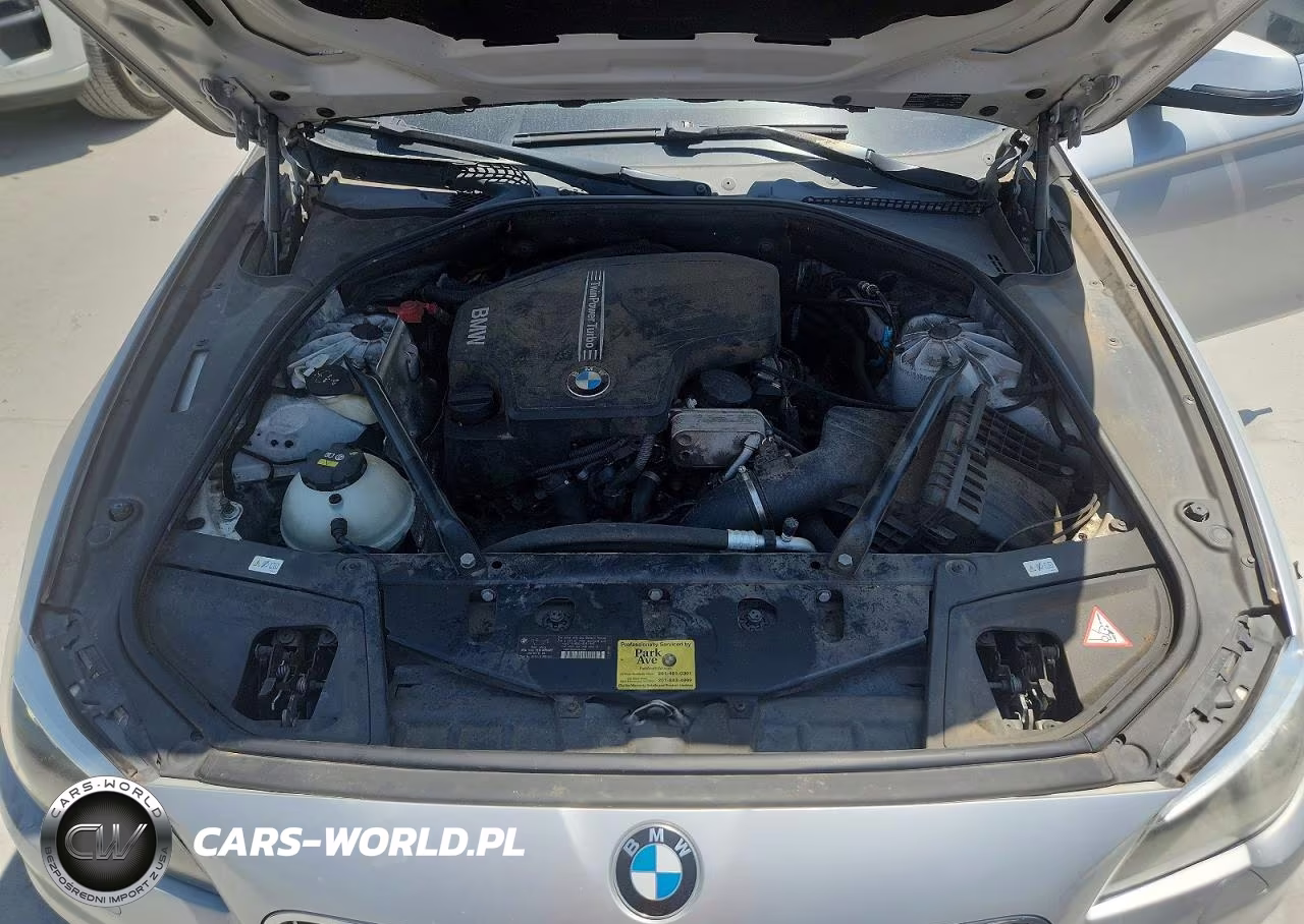 2014 BMW 528 Xi VIN:WBA5A7C55ED619645 - 11