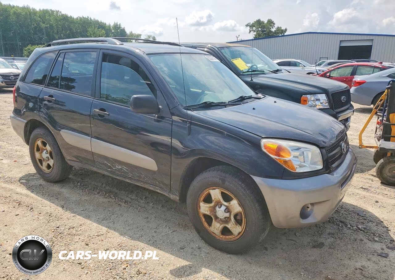 2004 Toyota Rav4 Base VIN:JTEGD20V840031685 - 4