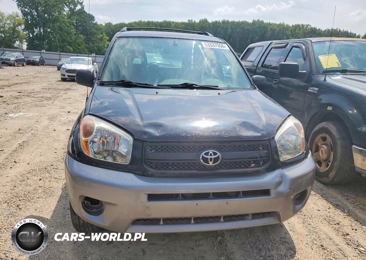 2004 Toyota Rav4 Base VIN:JTEGD20V840031685 - 5