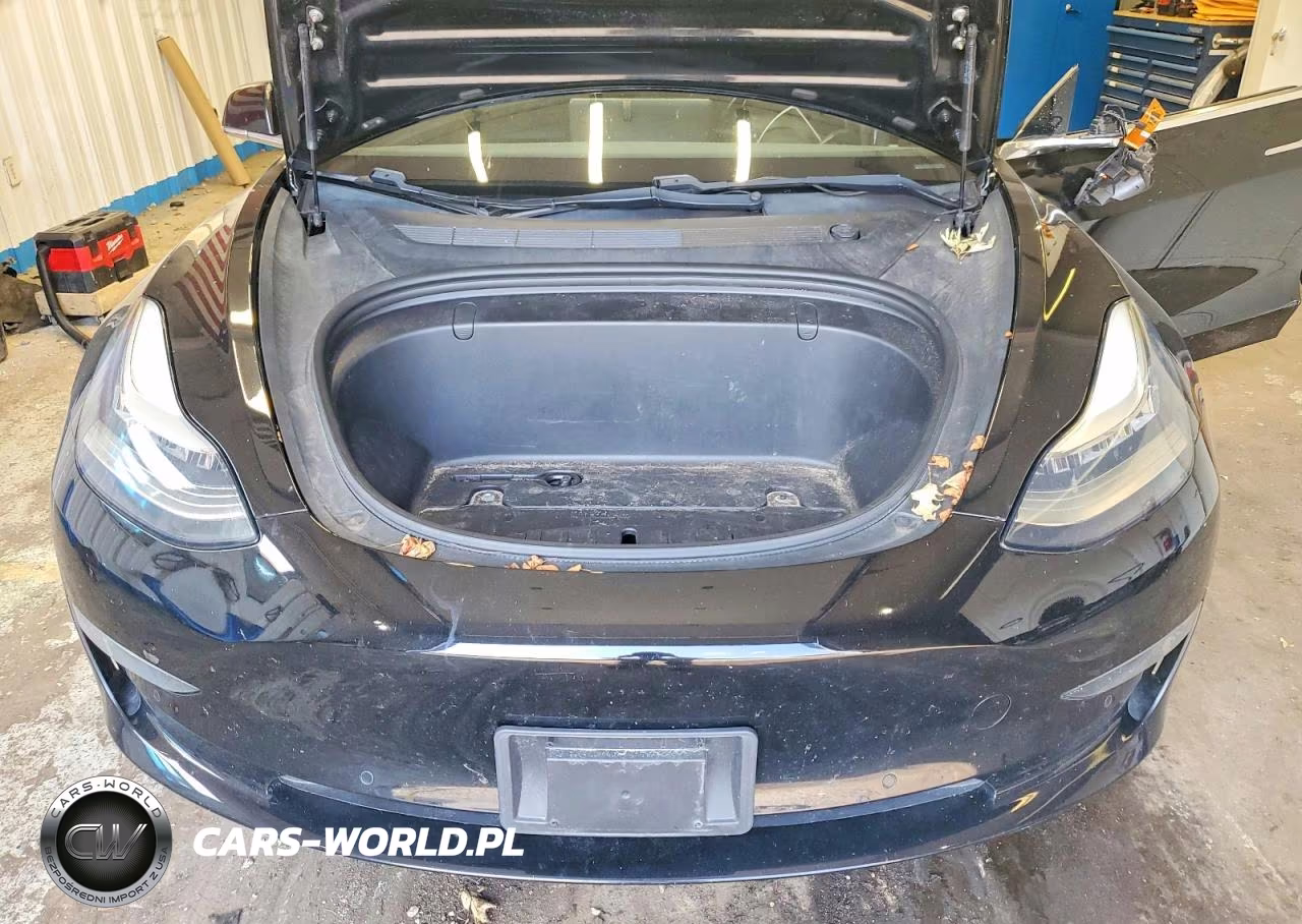 2019 Tesla Model 3 VIN:5YJ3E1EA5KF397781 - 11