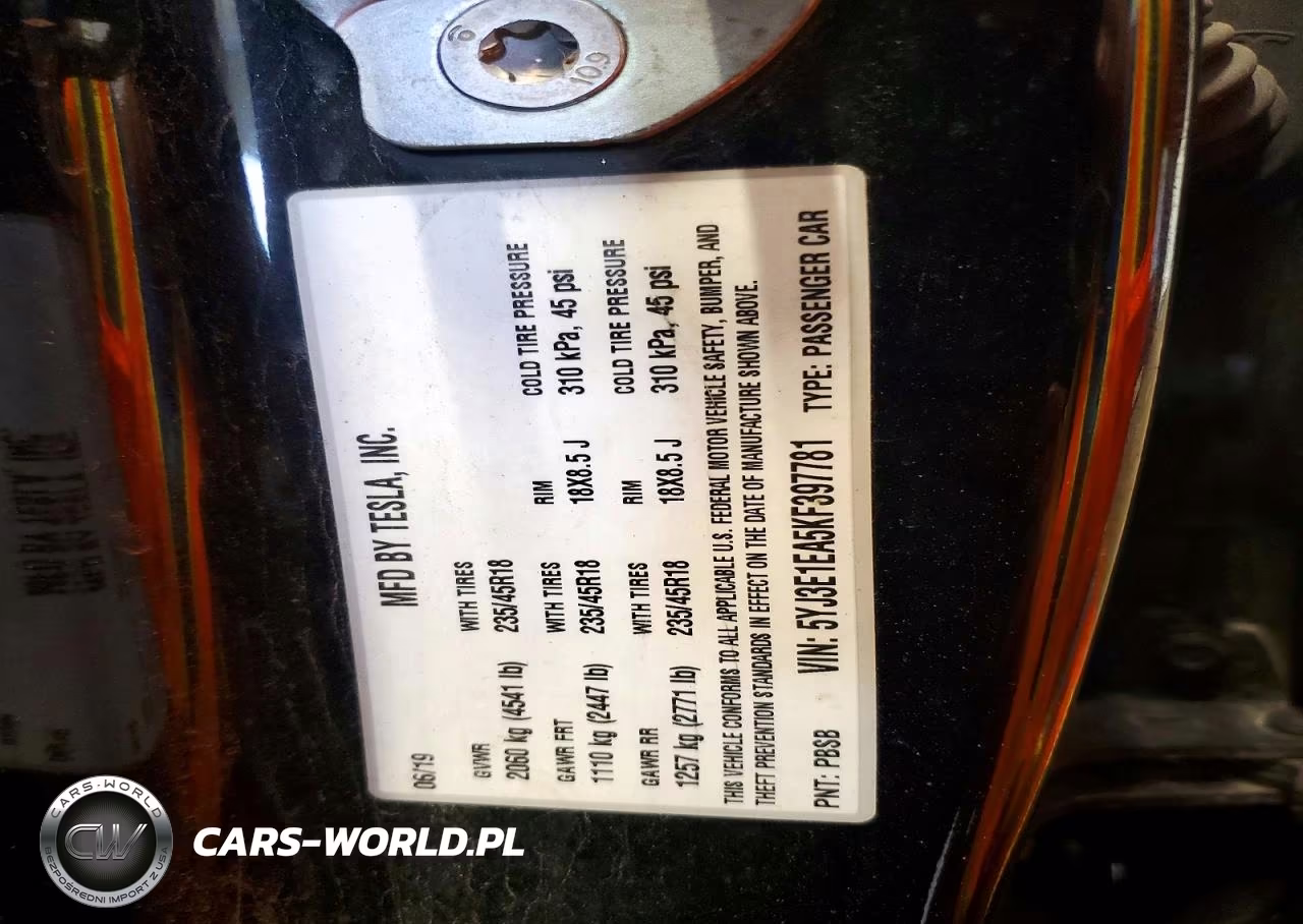 2019 Tesla Model 3 VIN:5YJ3E1EA5KF397781 - 12