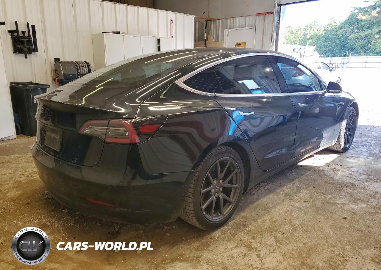 2019 Tesla Model 3 VIN:5YJ3E1EA5KF397781 - 3