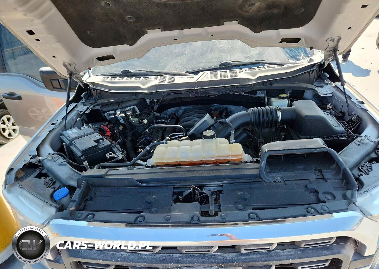 2022 Ford F150 Supercrew VIN:1FTFW1E53NKE65631 - 11