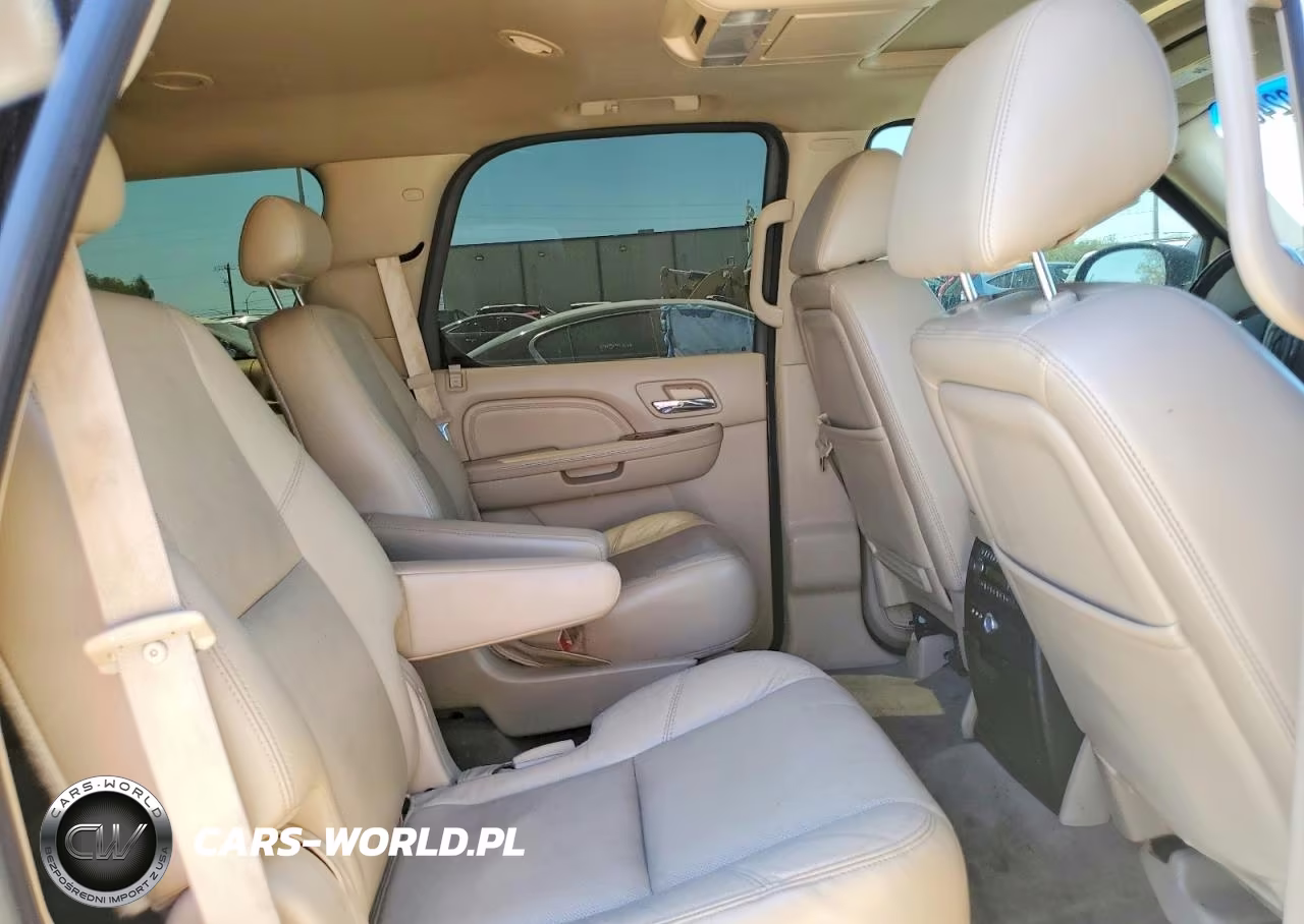 2010 Cadillac Escalade Luxury VIN:1GYUKBEF9AR138552 - 10