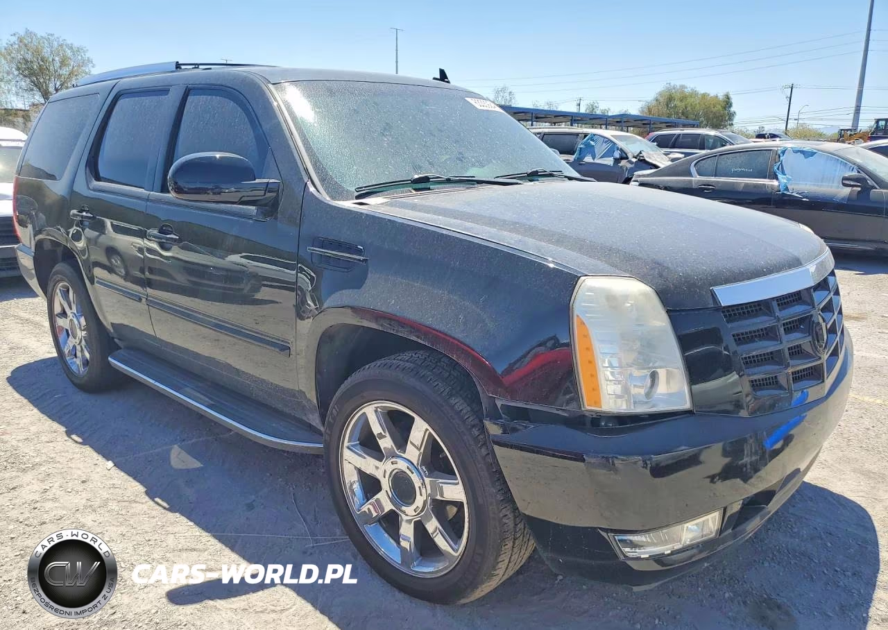 2010 Cadillac Escalade Luxury VIN:1GYUKBEF9AR138552 - 4
