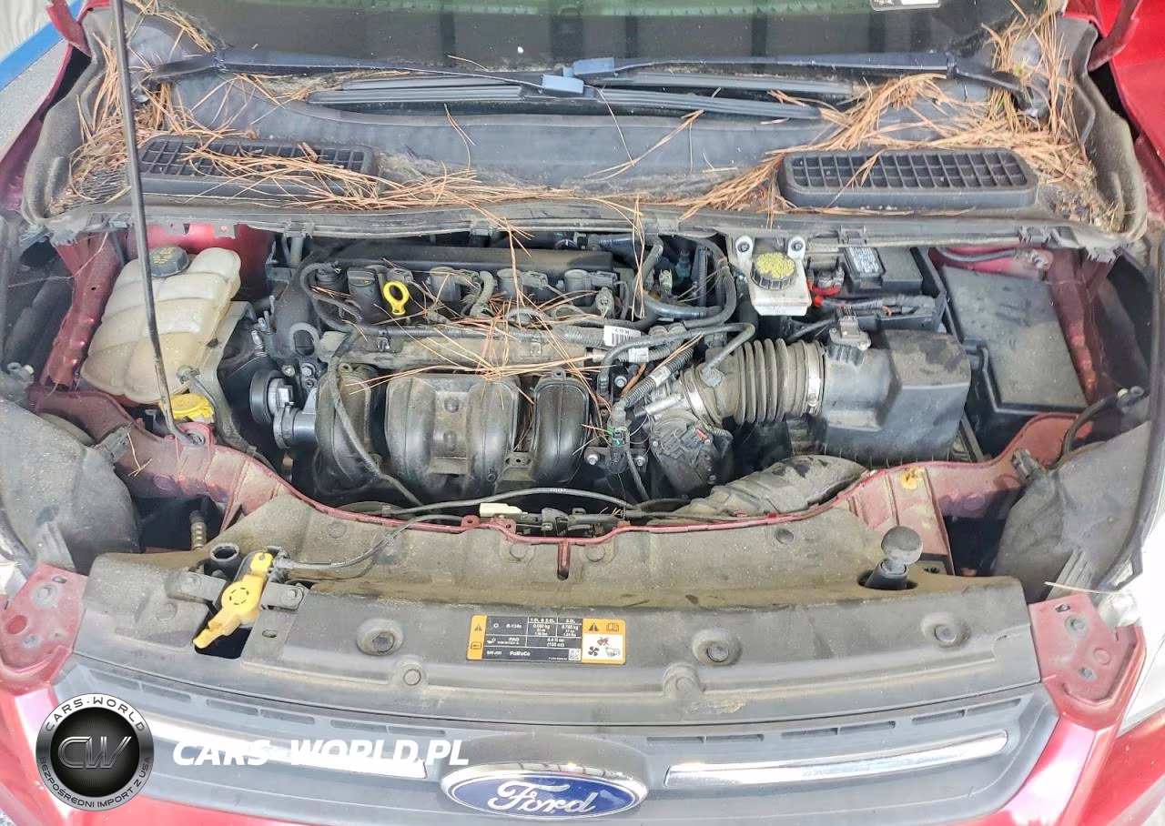 2016 Ford Escape Se VIN:1FMCU0G79GUB13755 - 12