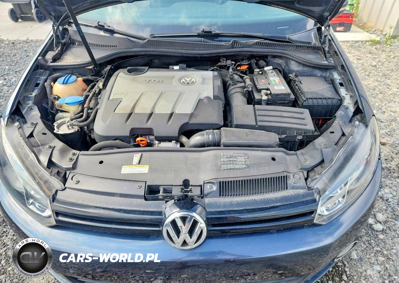 2011 Volkswagen Golf VIN:WVWDM7AJ2BW293938 - 11