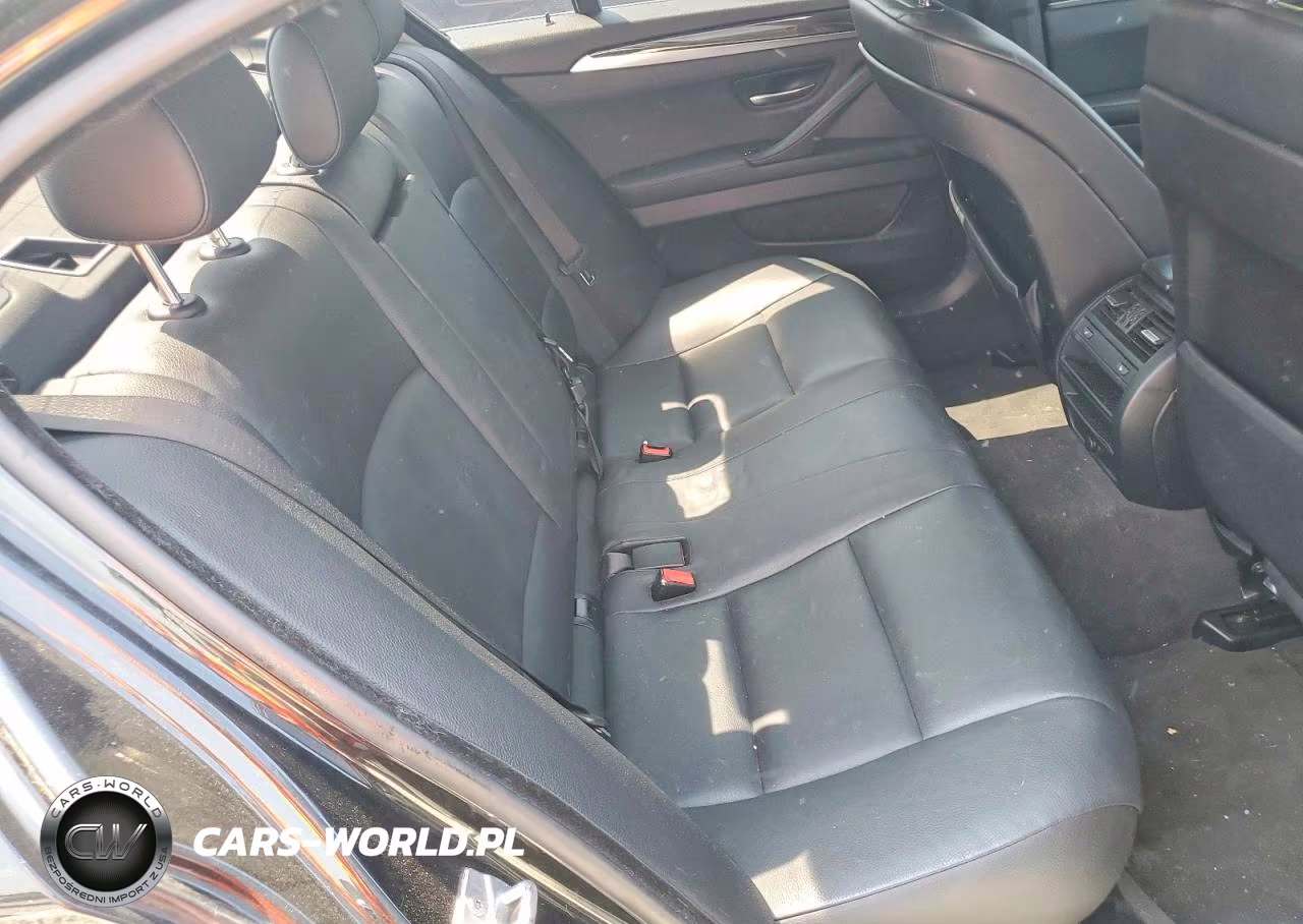 2013 BMW 528 Xi VIN:WBAXH5C52DD114458 - 10