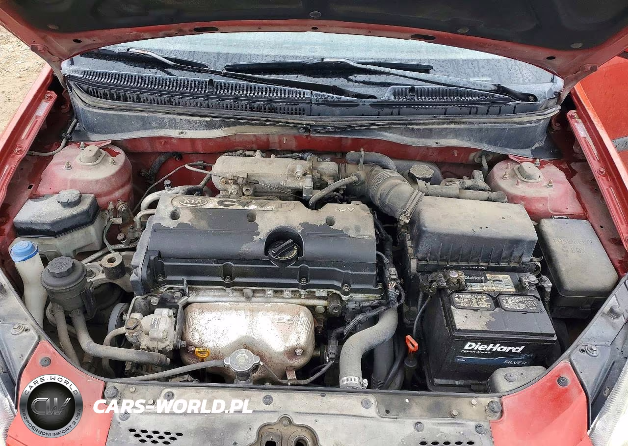 2009 Kia Rio Base VIN:KNADE223996499071 - 11