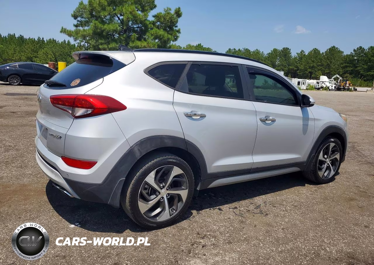 2017 Hyundai Tucson Limited VIN:KM8J33A23HU276668 - 3