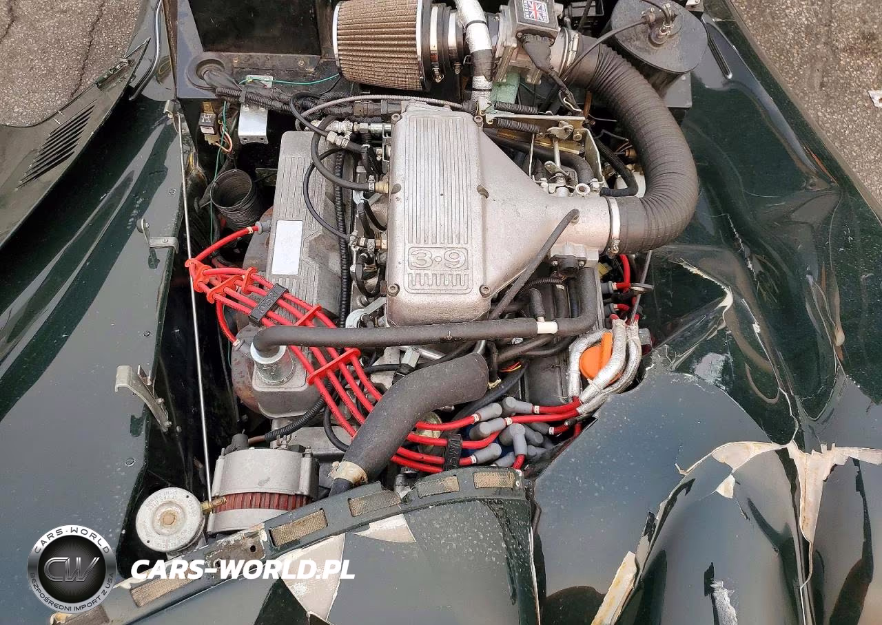 1994 Morg Morgan VIN:1S9AR02RXRS200091 - 11