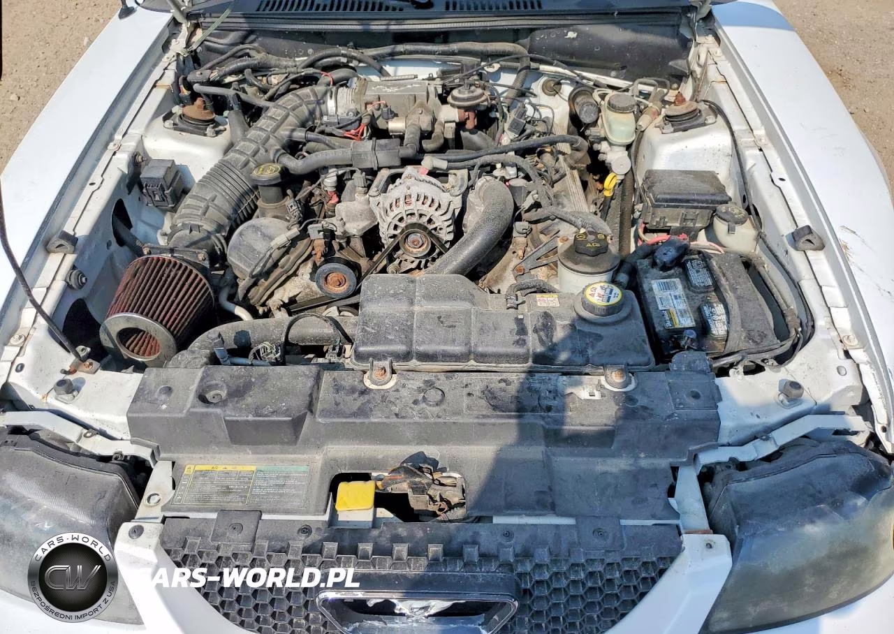 2003 Ford Mustang Gt VIN:1FAFP42X73F425293 - 11