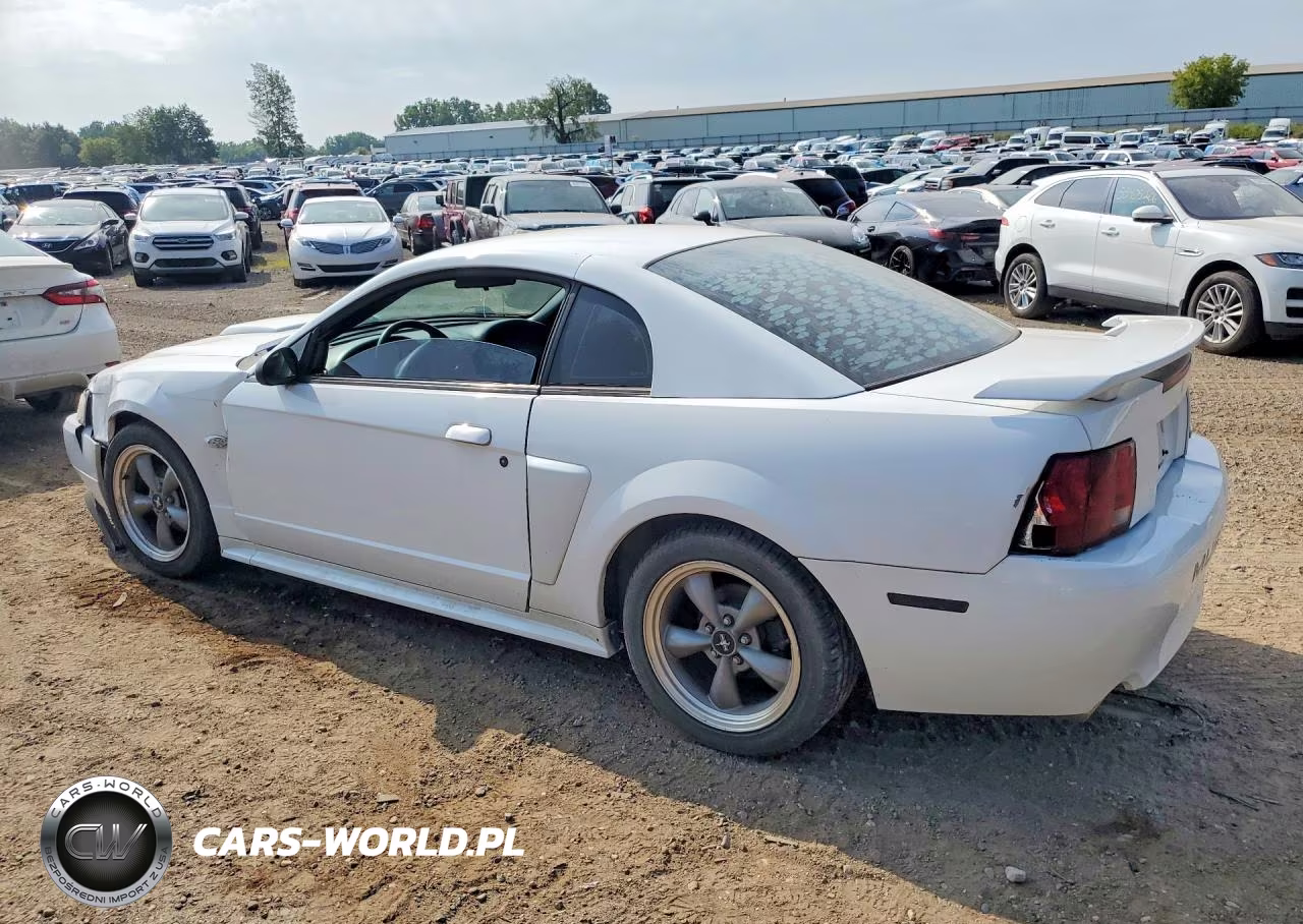 2003 Ford Mustang Gt VIN:1FAFP42X73F425293 - 2