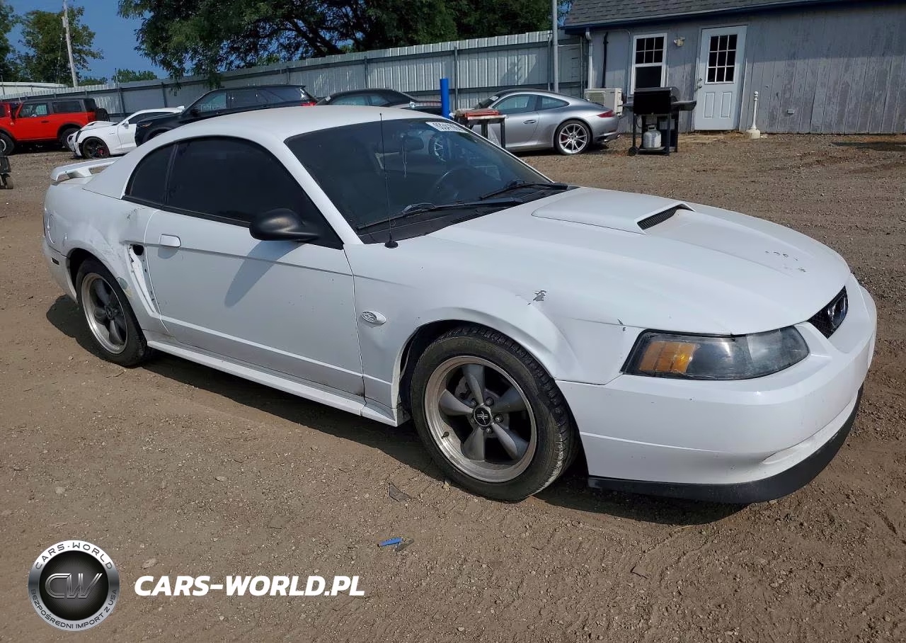 2003 Ford Mustang Gt VIN:1FAFP42X73F425293 - 4