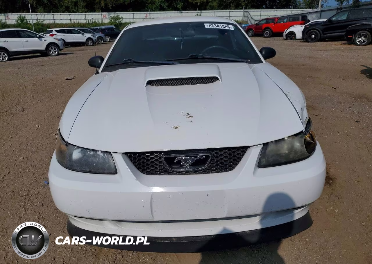 2003 Ford Mustang Gt VIN:1FAFP42X73F425293 - 5