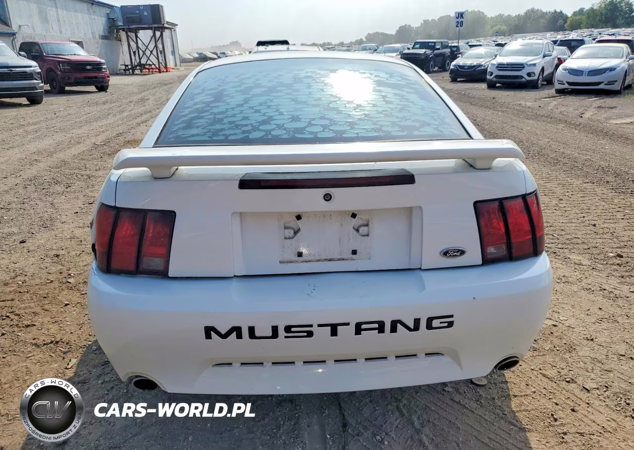 2003 Ford Mustang Gt VIN:1FAFP42X73F425293 - 6
