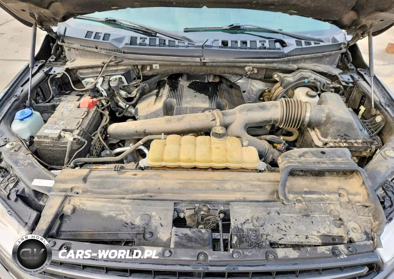 2020 Ford F150 Supercrew VIN:1FTEW1E41LKF16592 - 11