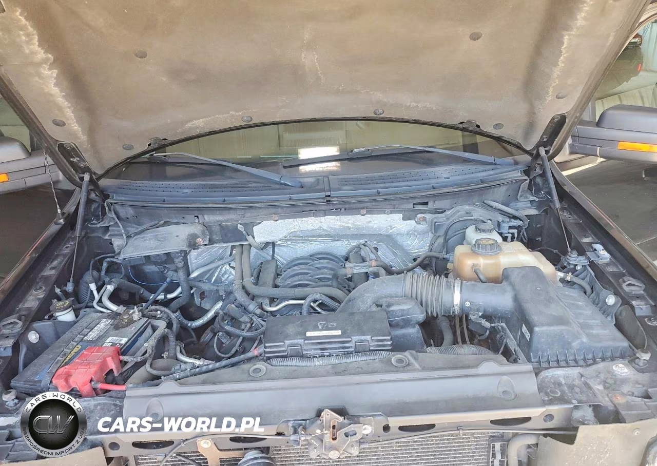 2012 Ford F150 Supercrew VIN:1FTFW1EF3CFA27920 - 11
