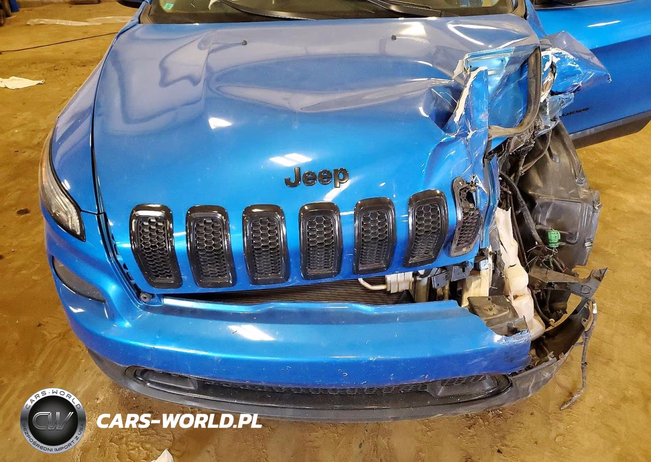 2018 Jeep Cherokee Limited VIN:1C4PJLDX9JD545290 - 11