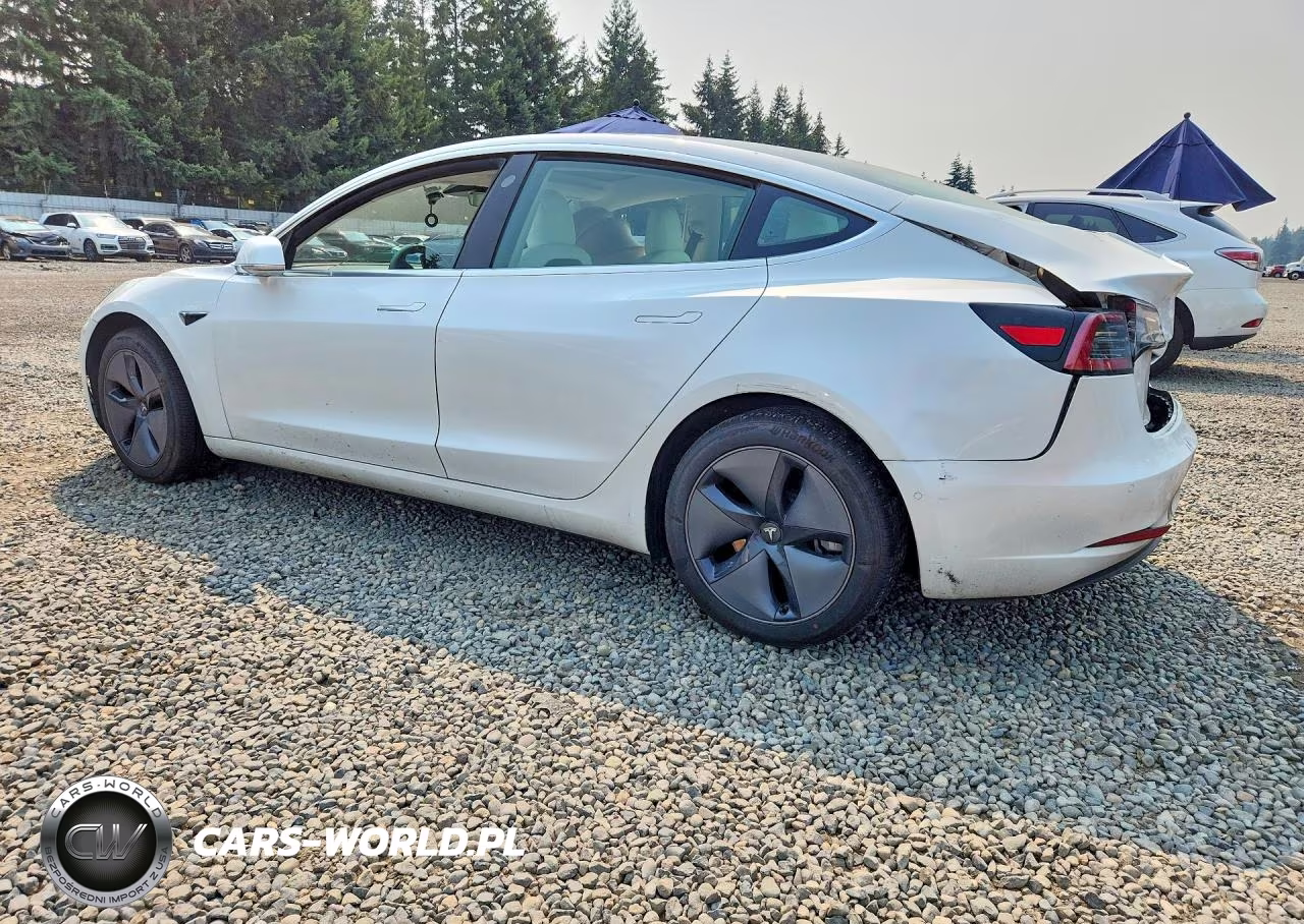 2020 Tesla Model 3 VIN:5YJ3E1EA5LF738291 - 2