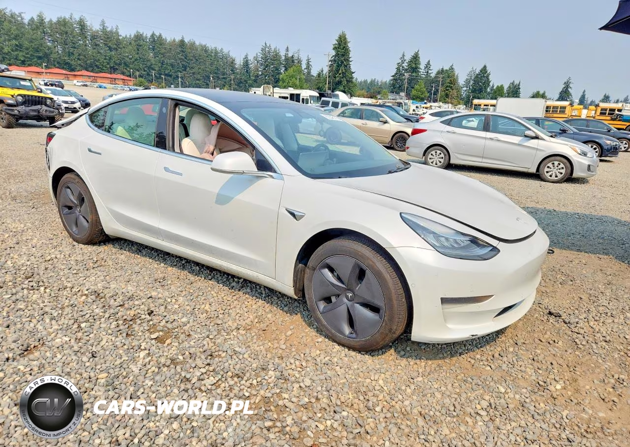 2020 Tesla Model 3 VIN:5YJ3E1EA5LF738291 - 4