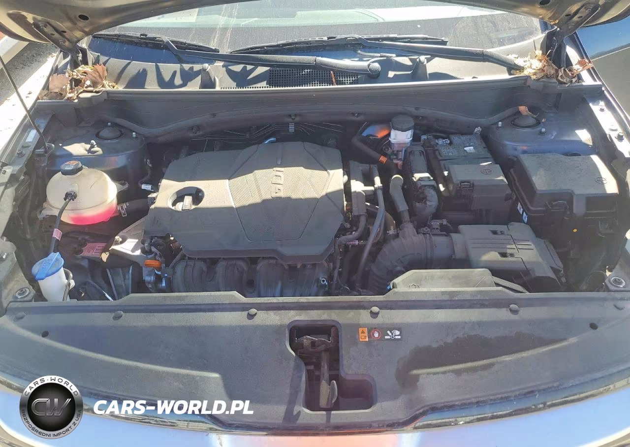 2023 Kia Sportage Ex VIN:5XYK33AF0PG061325 - 12