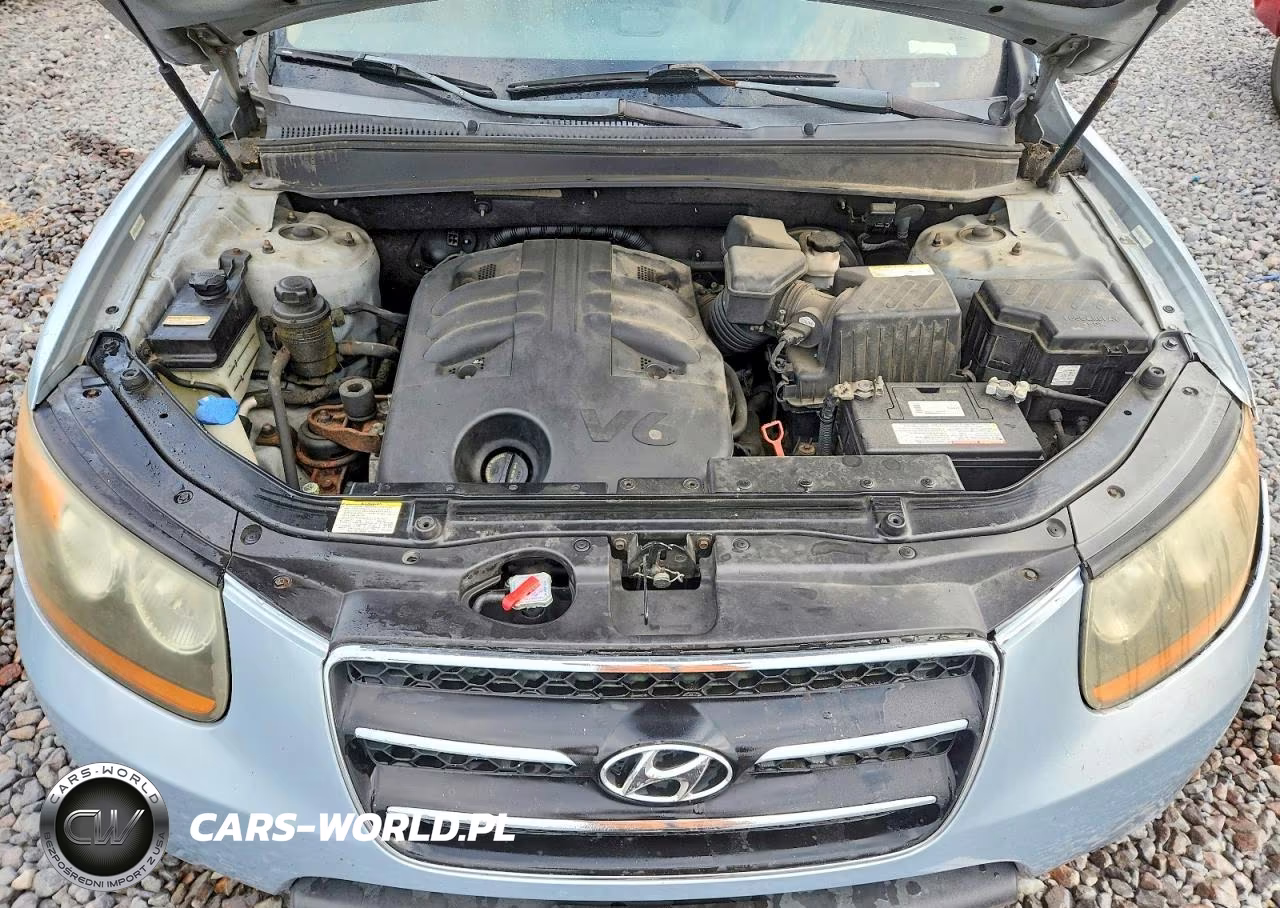 2008 Hyundai Santa Fe Se VIN:5NMSH13E18H168112 - 12